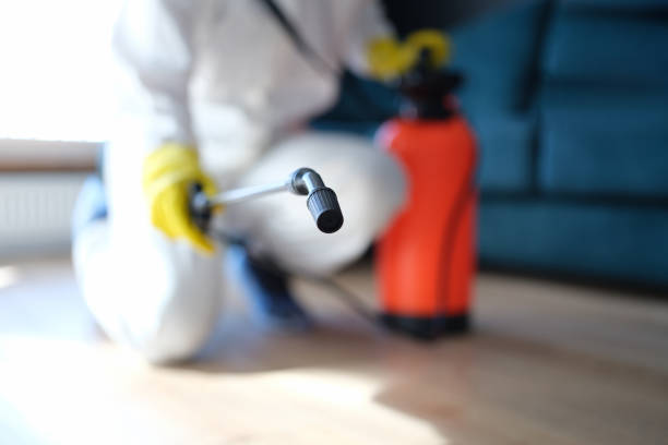 Reliable Mcclure, PA Mold Removal Solutions